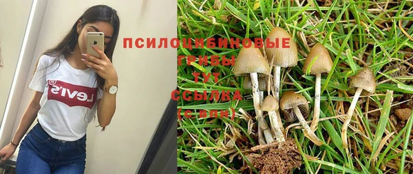 амф Белоозёрский