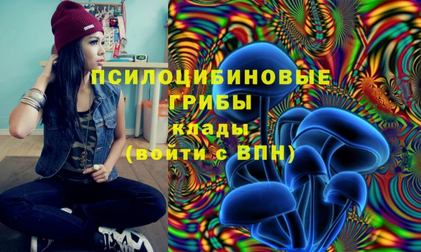 амф Белоозёрский