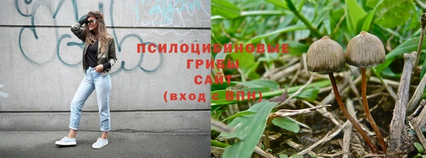амф Белоозёрский